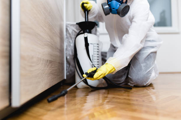 Best Pest Prevention Services  in Patchogue, NY