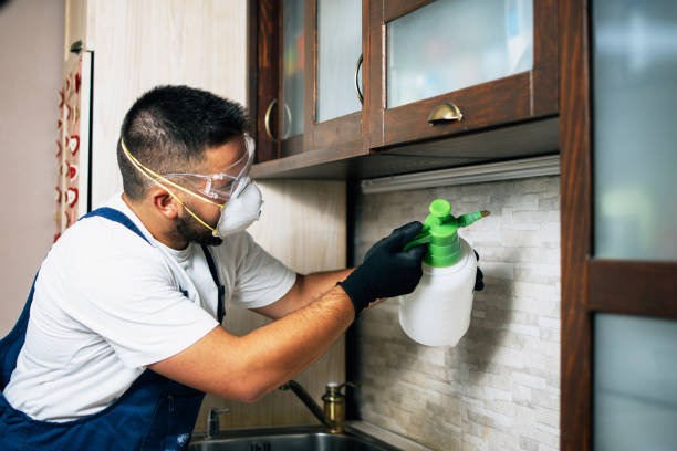 Wildlife Control Services in Patchogue, NY