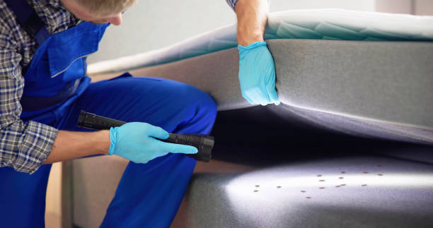 Best Commercial Pest Control Services  in Patchogue, NY